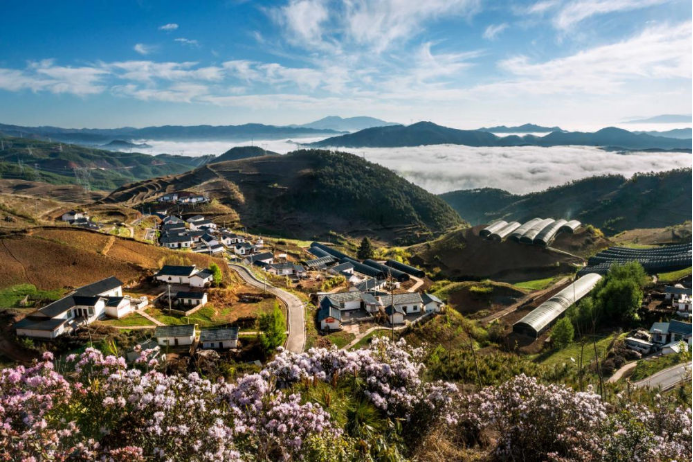 10 918博天堂电气集团科技兴农 助力凉山火普村打造数字乡村804.png